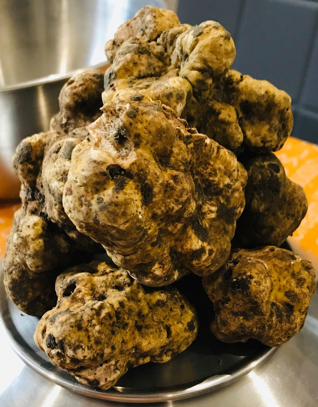 Dal 15 Ottobre,  Disponibile Tartufo Bianco - Tuber Magnatum e Tartufo Nero Uncinato -Tuber Uncinatum